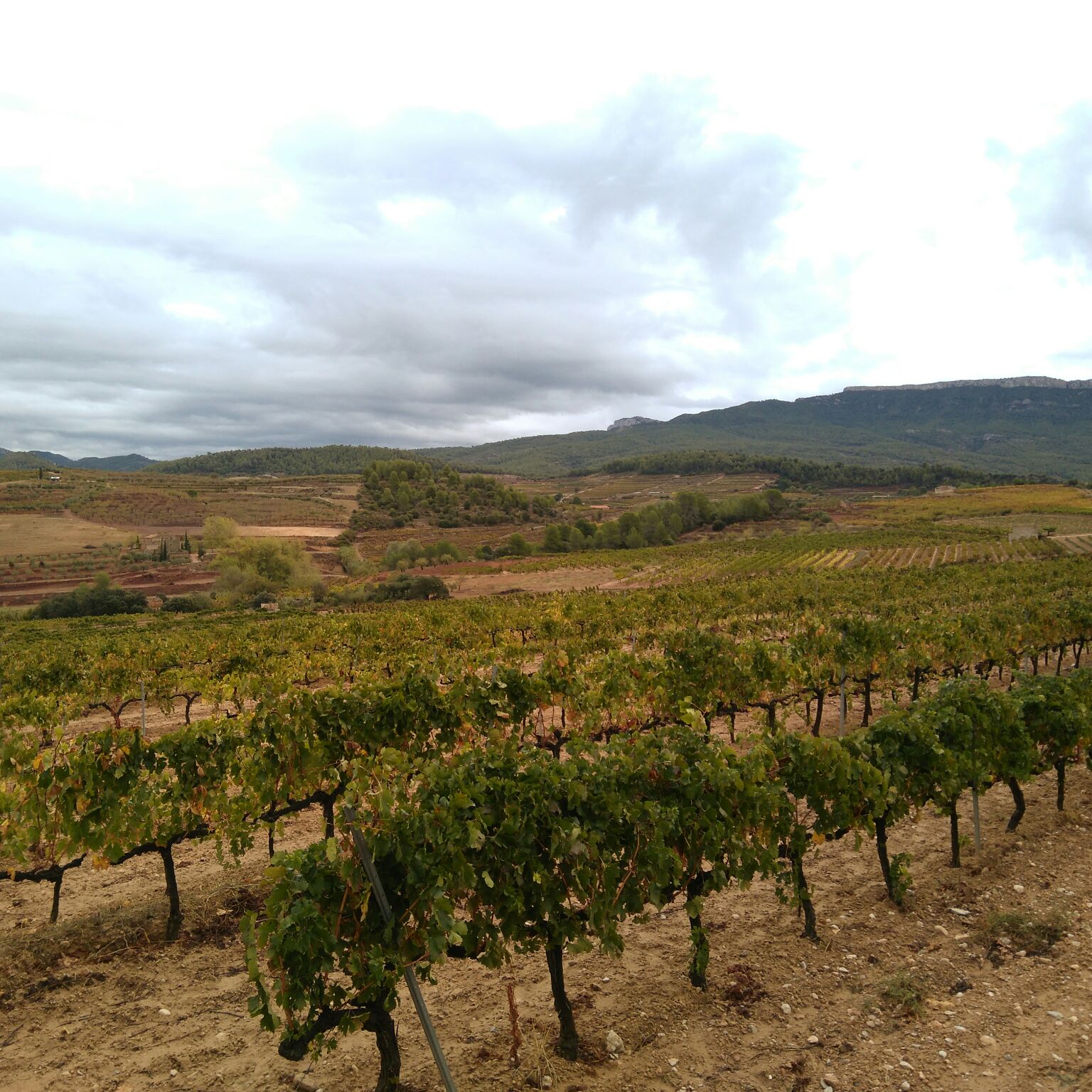 WhatsApp Image 2017 10 19 at 12.04.50