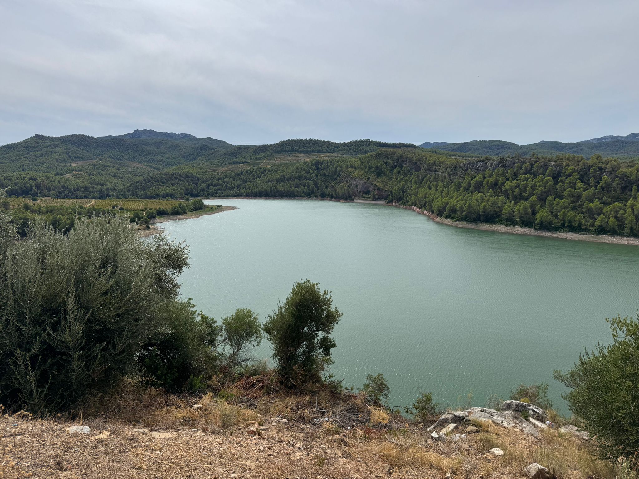 pantano.jpeg