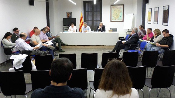 ple consell comarcal