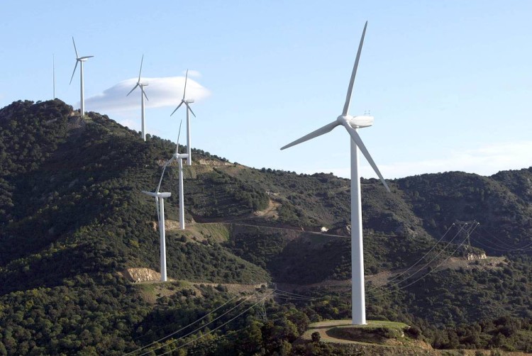 Unió de Pagesos demana la nul·litat del PLATER i reclama un nou projecte que protegeixi els espais agraris