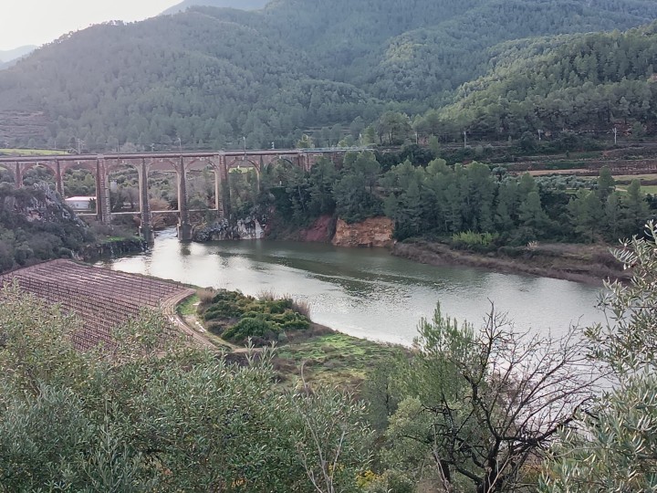 La llevantada deixa una bona regada al Priorat