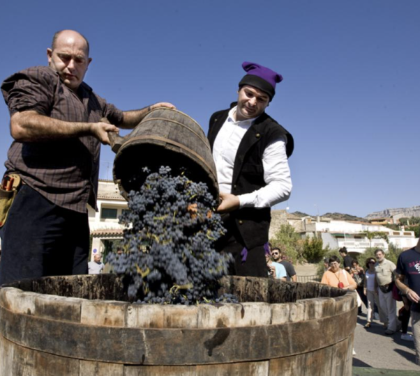 Poboleda celebra aquest dissabte la Festa del Vi i la Verema a l'antiga